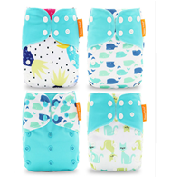 DiddleBums Cloth Diapers